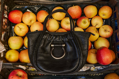 2025 Sapahn Bags Brand Refresh